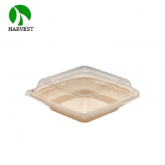 7 Inch 16oz/460ml Square Salad Container