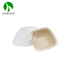 5 Inch 17oz/500ml Square Food Box
