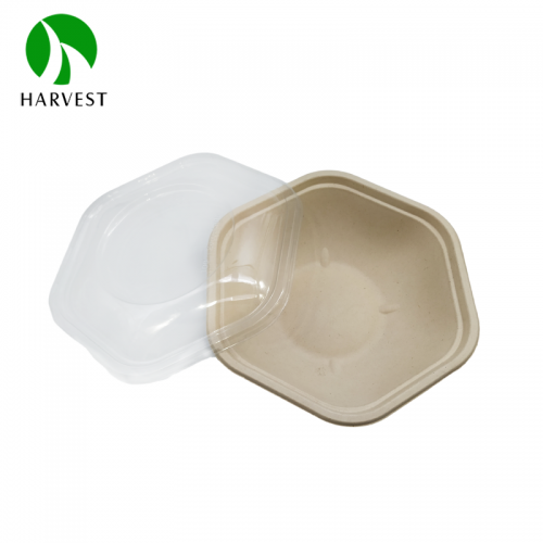 8 inch 24oz/750ml Hexagonal Pulp Salad Container