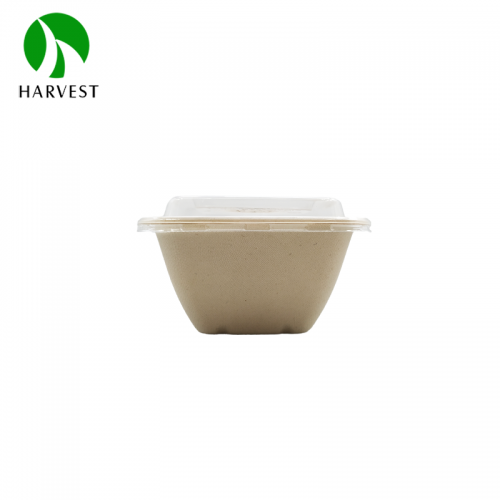 5 Inch 17oz/500ml Square Food Box