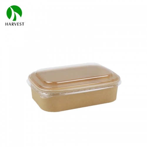 500ml Rectangle Kraft Paper Box