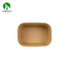 1000ml Rectangle Kraft Paper Box