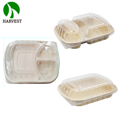 1000ml 2 Compartments Sugarcane Food containers with Lid
