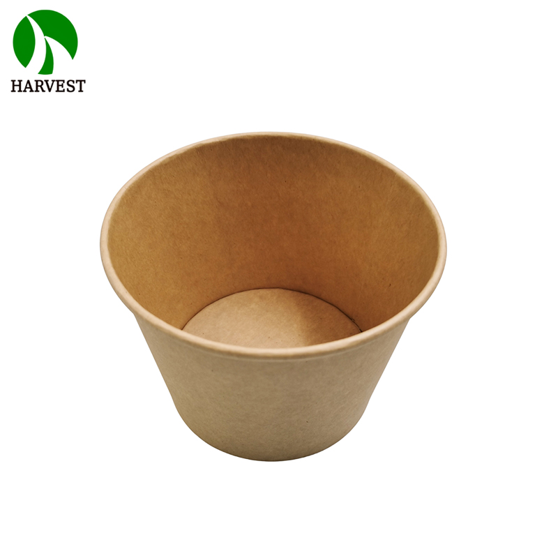 Disposable Kraft Paper Noodle Bowls with Lid