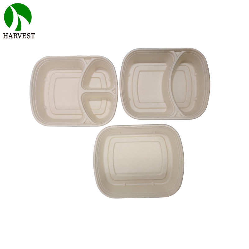 1000ML 3 Compartments Pulp Bagasse Lunch Box with lid
