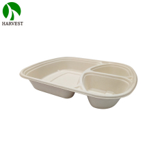 1000ML 3 Compartments Pulp Bagasse Lunch Box with lid