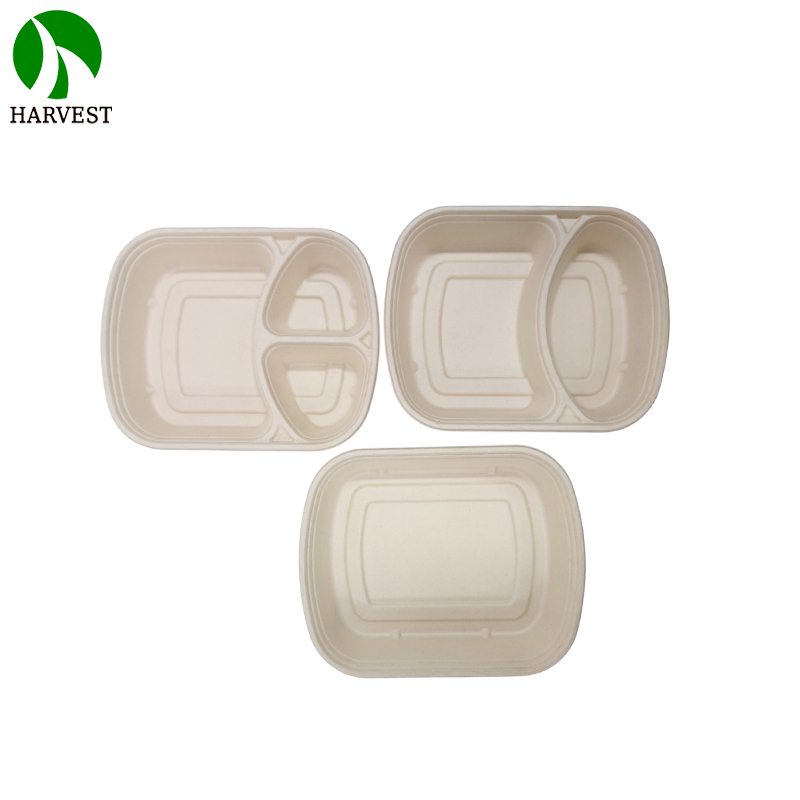 2 Compartments Microwavable Sugarcane Pulp Take Away Lunch Box