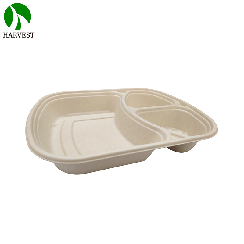 1000ML 3 Compartments Pulp Bagasse Lunch Box with lid