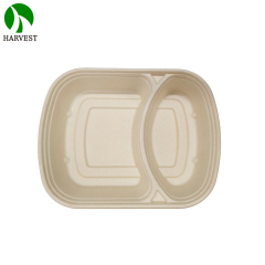 2 Compartments Microwavable Sugarcane Pulp Take Away Lunch Box