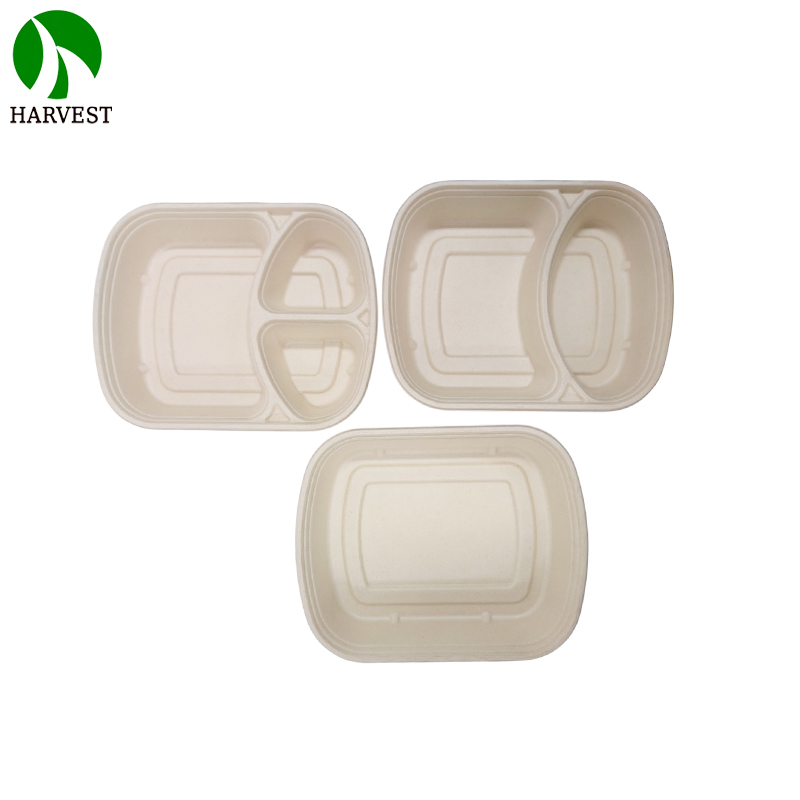 1000ML Biodegradable Disposable food Container with lid