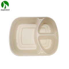 1000ML 3 Compartments Pulp Bagasse Lunch Box with lid