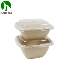 5 Inch 17oz/500ml Square Food Box