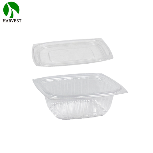 Disposable Rectangle Plastic Salad Container