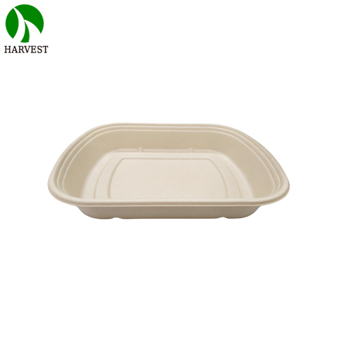 1000ml Bagasse Restaurant Bento Lunch Box with Lid