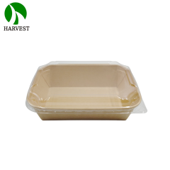 Rectangular 750ml 1000ml 1200ml Kraft Paper food packaging