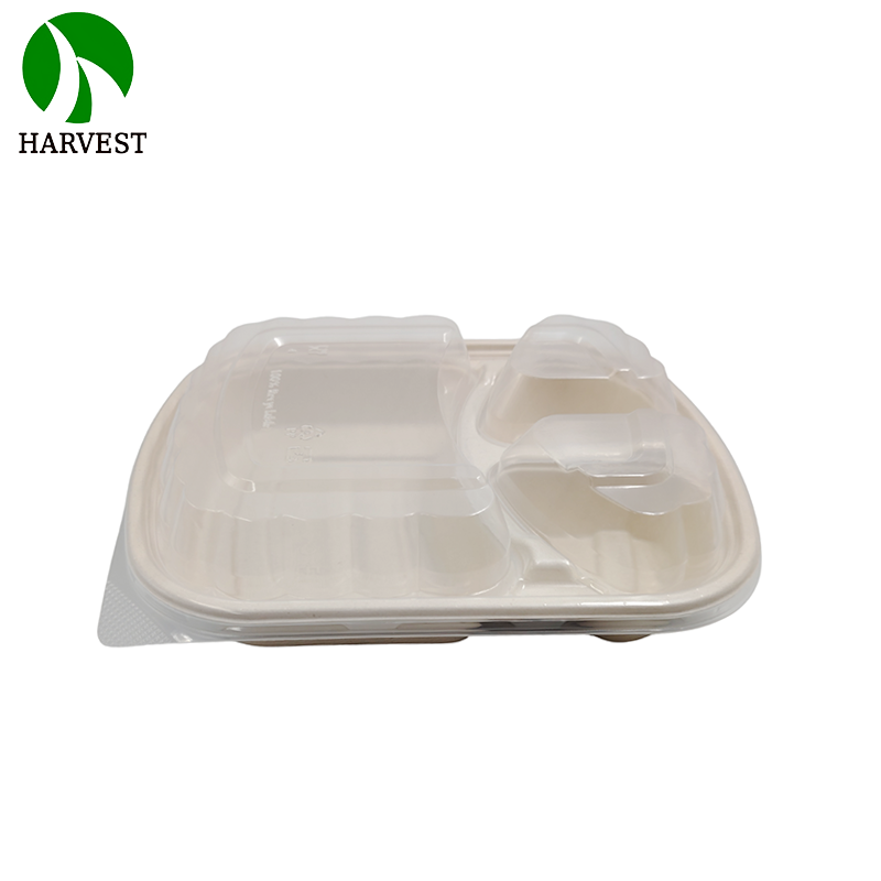 1000ML 3 Compartments Pulp Bagasse Lunch Box with lid