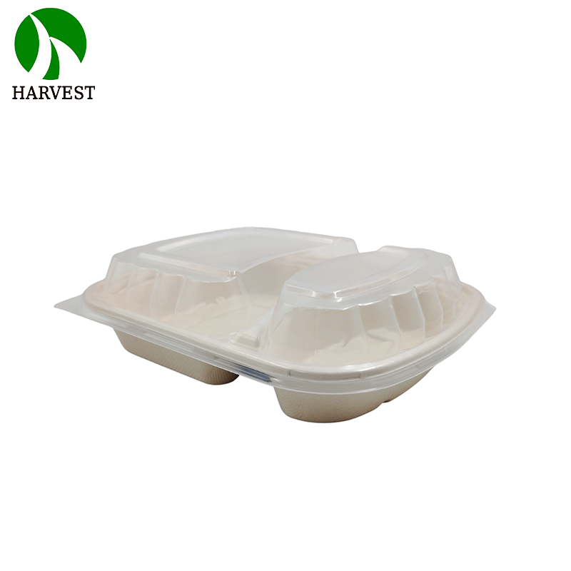 1000ML 3 Compartments Pulp Bagasse Lunch Box with lid