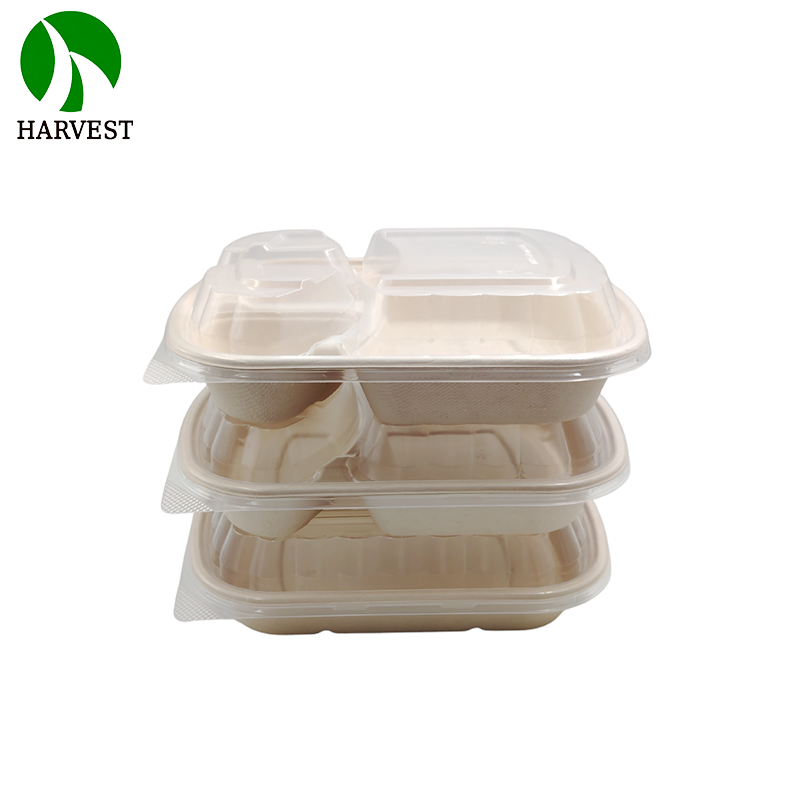 1000ML Biodegradable Disposable food Container with lid