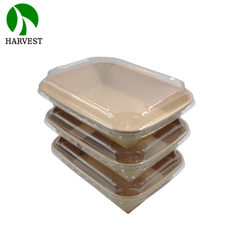 Rectangular 750ml 1000ml 1200ml Kraft Paper food packaging