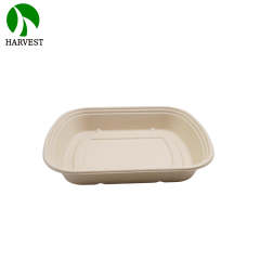 1000ML Biodegradable Disposable food Container with lid