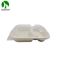 2 Compartments Microwavable Sugarcane Pulp Take Away Lunch Box