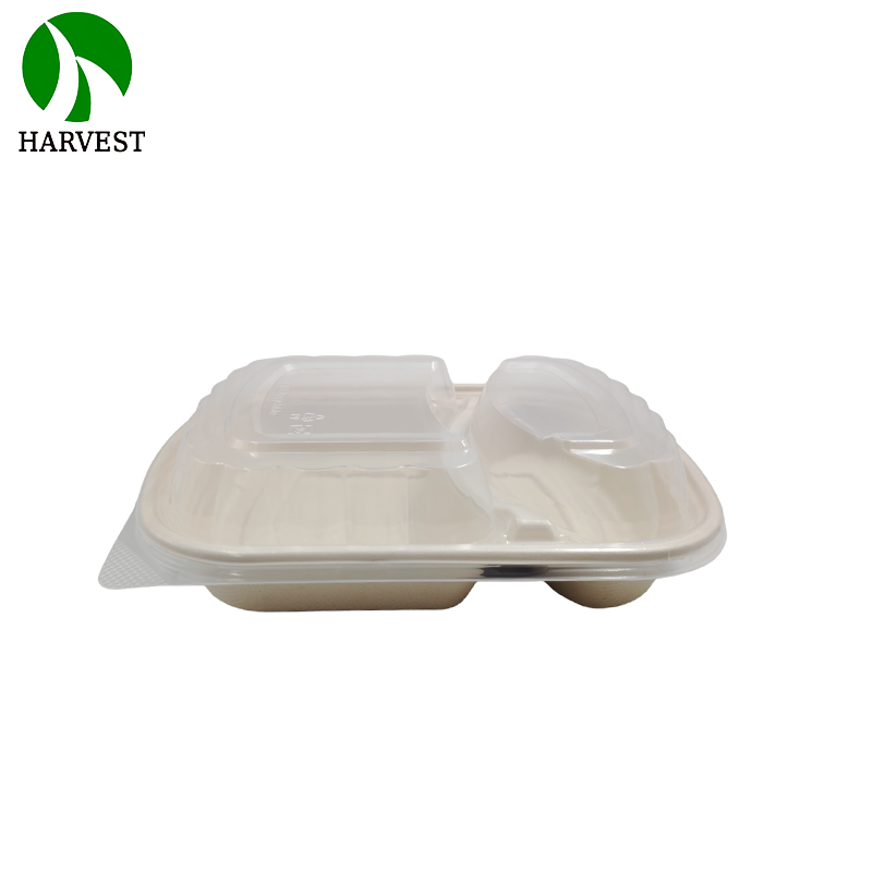 1000ML Biodegradable Disposable food Container with lid