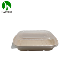 1000ML 3 Compartments Pulp Bagasse Lunch Box with lid