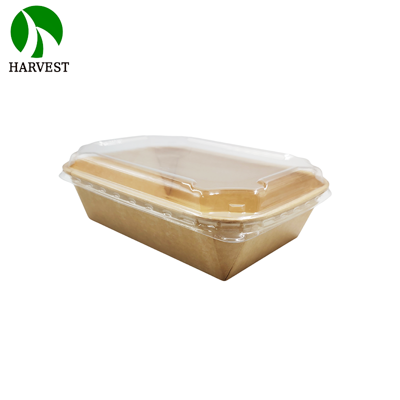 Rectangular 750ml 1000ml 1200ml Kraft Paper food packaging