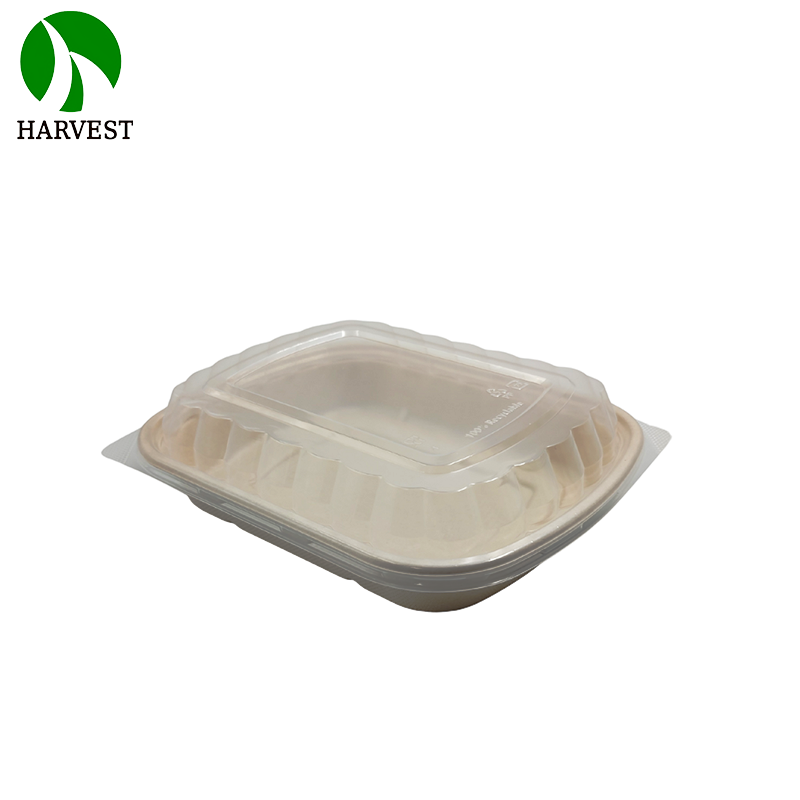 1000ML Biodegradable Disposable food Container with lid