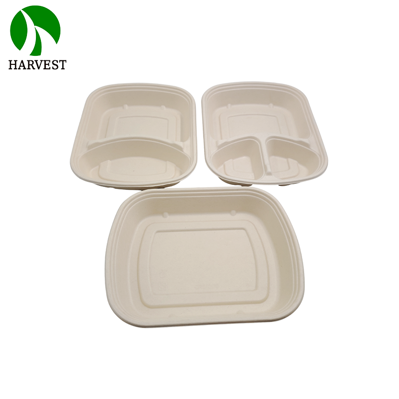 2 Compartments Microwavable Sugarcane Pulp Take Away Lunch Box
