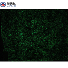 Luminous | Glow in the dark carbon fiber sheet in green
