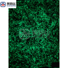 Luminous | Glow in the dark carbon fiber sheet in green