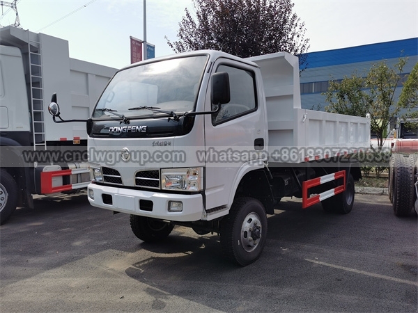 Dongfeng 4x4 RHD Dump Truck