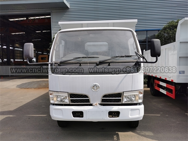 Dongfeng 4x4 RHD Dump Truck