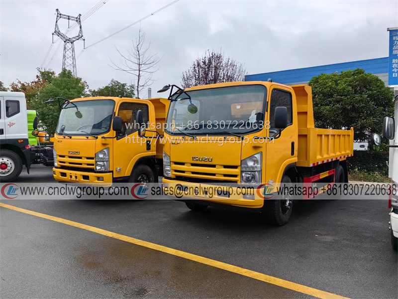 ISUZU 4X2/4X4 6-8 Ton Dump Truck