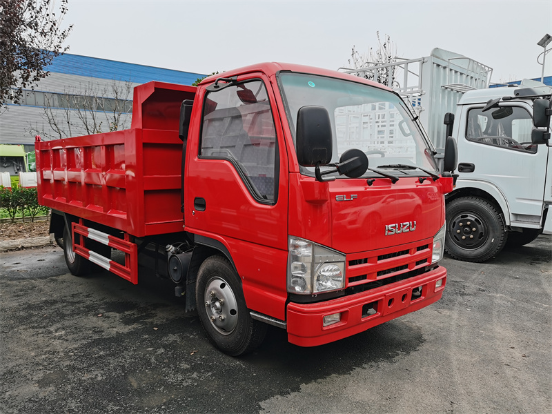 ISUZU 100P/NKR 6 wheeler 3-4 ton Dump Truck