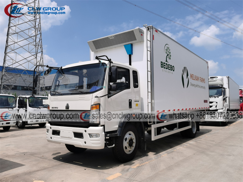 HOWO 4x2 6.8m 10 ton freezer box truck