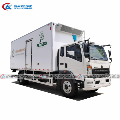 HOWO 4x2 6.8m 10 ton freezer box truck