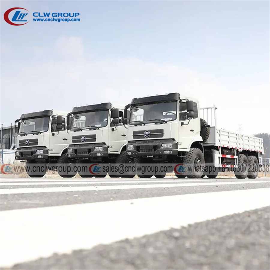 Chengli 6x6 off-road cargo platform truck