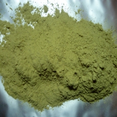 Natural Ephedra Herb Powder new stocks
