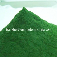 Organic Spirulina Powder (Food, Feed Grade)