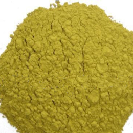 Natural Ginko Biloba Leaf Powder