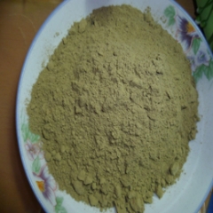 Natural Gotu Kola Powder