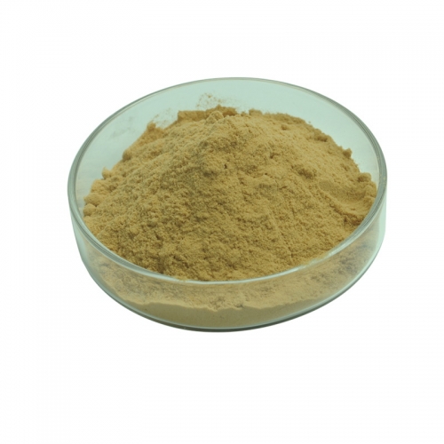 Milk Thistle Extract 80% Silymarin UV, 25% Silybin HPLC