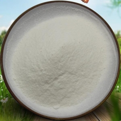 98% Neohesperidin Dihydrochalcone Natural Sweetner 20702-77-6 NHDC