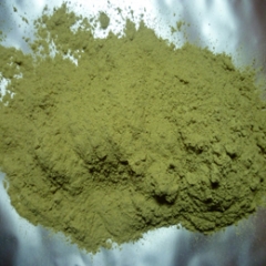 Paypal Online Shopping Natural Ephedra Herb Powder new stocks