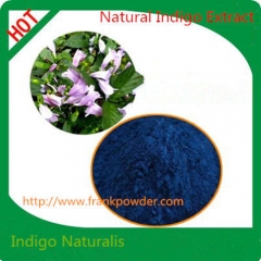 Paypal Online Shopping Indigo Naturalis Powder