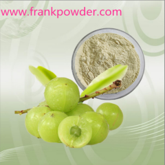 Water-soluble Natural Phyllanfhus (Emblica) Fruit Powder