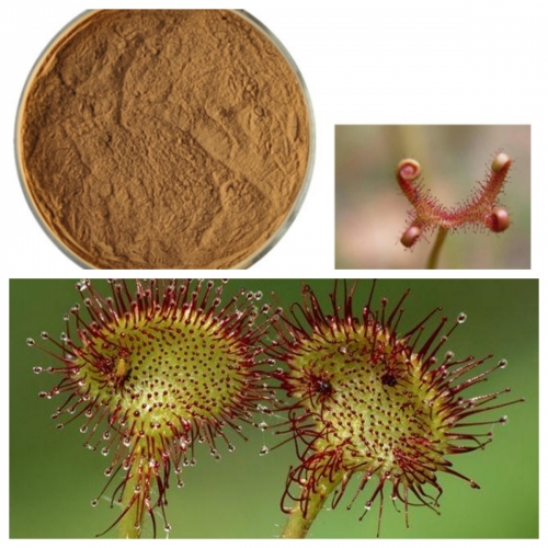 10:1,20:1,30:1Drosera Rotundifolia Extract