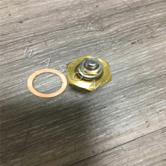 3TNE82/3TNE84/3TNE78 4TNV94/4TNV98 4TNE88 YM Excavator  Water Temperature Sensor 30B0409